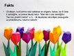 Prezentācija 'Papīra locīšanas māksla - origami', 8.
