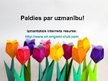 Prezentācija 'Papīra locīšanas māksla - origami', 24.