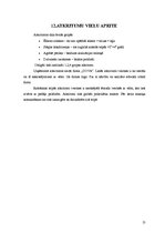 Referāts 'Ēdināšanas uzņēmuma sanitāri - higiēniskais novērojums', 13.