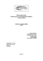 Referāts 'SIA "Samba"', 1.