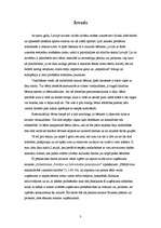 Referāts 'SIA "Samba"', 3.