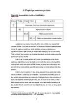 Referāts 'SIA "Samba"', 4.