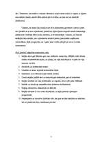 Referāts 'SIA "Samba"', 7.