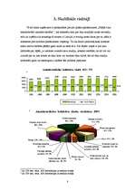 Referāts 'SIA "Samba"', 8.