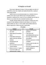 Referāts 'SIA "Samba"', 11.