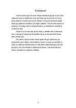 Referāts 'SIA "Samba"', 12.