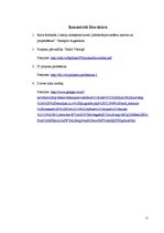 Referāts 'Sistēmas dzīves cikļu modeļi un to apraksts', 11.