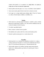 Referāts 'Restorāna "Tokyo City" menedžmenta raksturojums', 8.