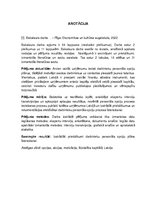 Diplomdarbs 'Rekomendācijas darbinieku personāla opciju procesa īstenošanai publiski kotētos ', 2.