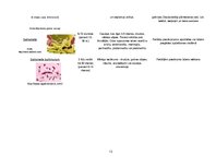 Referāts 'Ūdens mikrobioloģiskā kvalitāte', 13.
