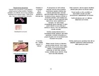 Referāts 'Ūdens mikrobioloģiskā kvalitāte', 14.