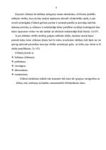 Referāts 'Svarīgākās estētikas kategorijas', 9.