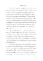 Referāts 'Dabas aizsardzības aktīvistu politika un nacionālās valsts suverenitāte', 6.