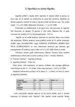 Referāts 'Tūrisma ietekme uz Siguldas ekonomikas izaugsmi', 8.