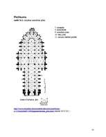 Referāts 'Laikmeta ideālu atspoguļojums Amjēnas katedrāles rietumu fasādē', 14.