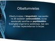 Prezentācija 'Olbaltumvielas', 4.