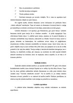 Referāts 'Lesbiešu sociālās kustības pēc Otrā pasaules kara', 3.