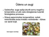 Prezentācija 'Augu bioloģija', 5.