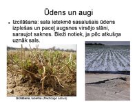 Prezentācija 'Augu bioloģija', 6.