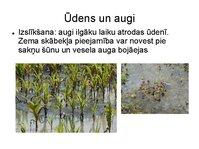 Prezentācija 'Augu bioloģija', 7.
