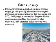 Prezentācija 'Augu bioloģija', 8.