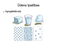 Prezentācija 'Augu bioloģija', 10.