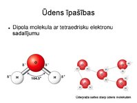 Prezentācija 'Augu bioloģija', 11.