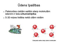 Prezentācija 'Augu bioloģija', 12.