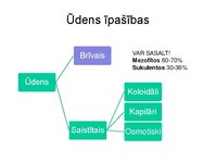 Prezentācija 'Augu bioloģija', 13.