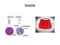 Prezentācija 'Augu bioloģija', 14.