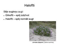 Prezentācija 'Augu bioloģija', 20.