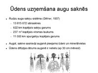 Prezentācija 'Augu bioloģija', 29.