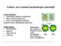 Prezentācija 'Augu bioloģija', 42.