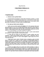 Konspekts 'Jānis Norvilis "Ceļinieks Piebalgā", Ilzes Kalnāres teksts', 1.