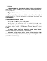 Konspekts 'Jānis Norvilis "Ceļinieks Piebalgā", Ilzes Kalnāres teksts', 6.