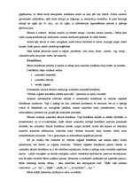 Konspekts 'Bērna personības attīstība 6 gadu vecumā', 3.