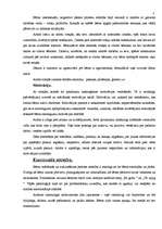 Konspekts 'Bērna personības attīstība 6 gadu vecumā', 5.