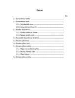 Referāts 'Finansēšana', 1.