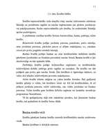 Referāts 'Finansēšana', 11.