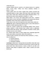 Prakses atskaite 'Kvalifikācijas prakse Ikšķiles Domē', 8.