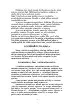 Referāts 'Etnogrāfiskā lauku sēta', 8.