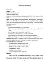 Prakses atskaite 'Aktīvā prakse sākumskolā', 11.