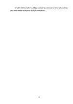 Prakses atskaite 'Aktīvā prakse sākumskolā', 24.