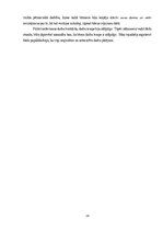 Prakses atskaite 'Aktīvā prakse sākumskolā', 28.