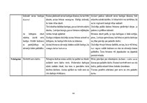 Prakses atskaite 'Aktīvā prakse sākumskolā', 48.