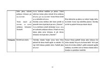 Prakses atskaite 'Aktīvā prakse sākumskolā', 52.