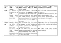 Prakses atskaite 'Aktīvā prakse sākumskolā', 55.