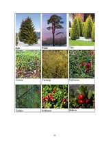 Prakses atskaite 'Aktīvā prakse sākumskolā', 72.