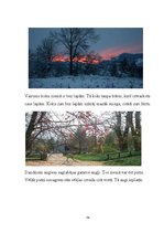 Prakses atskaite 'Aktīvā prakse sākumskolā', 73.