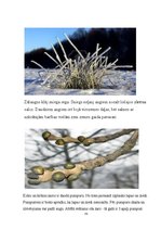 Prakses atskaite 'Aktīvā prakse sākumskolā', 74.